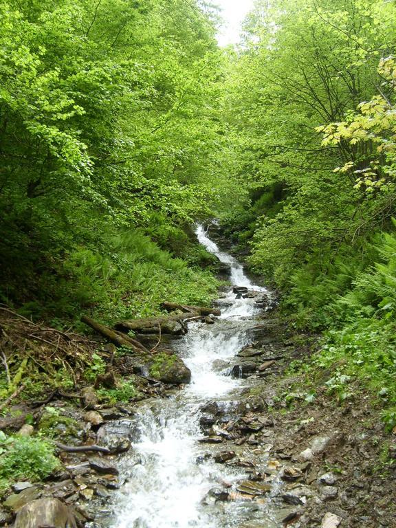 فندق Perla Padurii Valea Mare  المظهر الخارجي الصورة